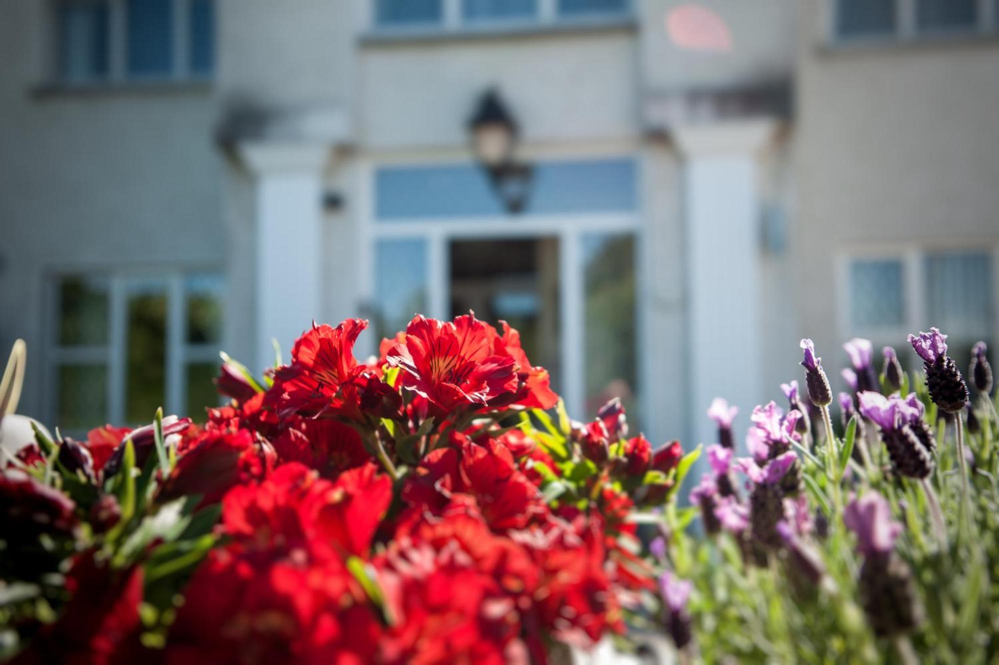 Grove House Bed & Breakfast Carlingford Bagian luar foto