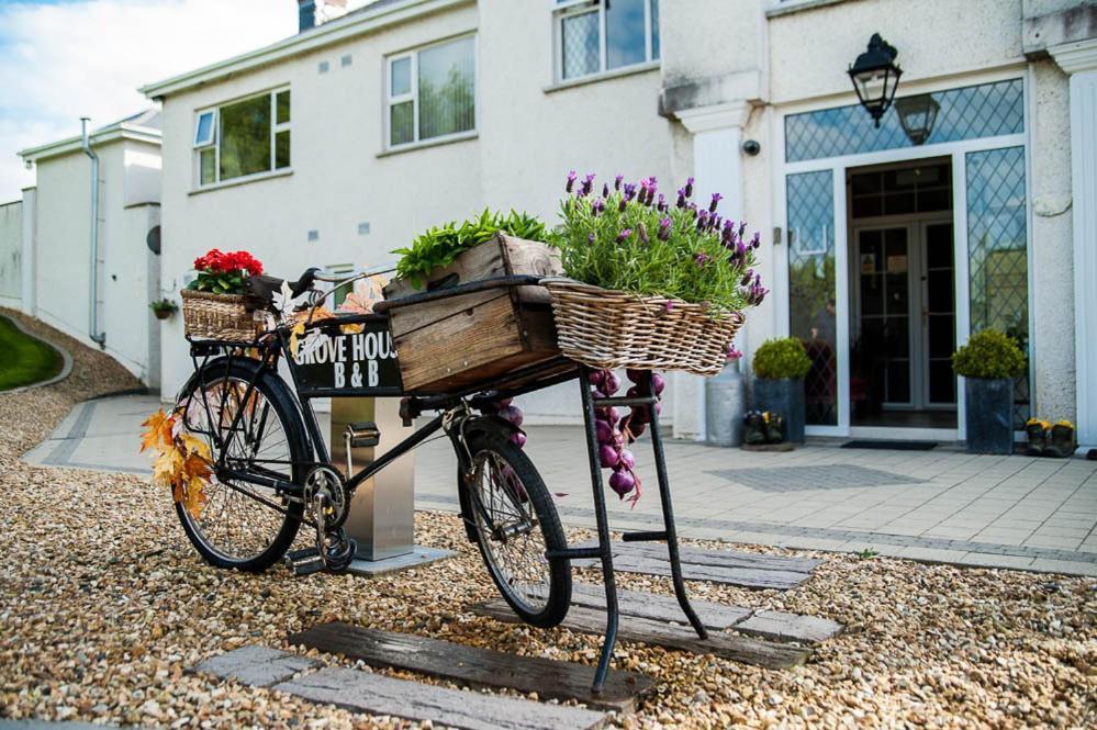 Grove House Bed & Breakfast Carlingford Bagian luar foto