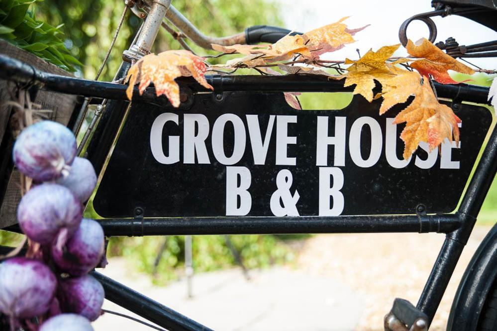 Grove House Bed & Breakfast Carlingford Bagian luar foto